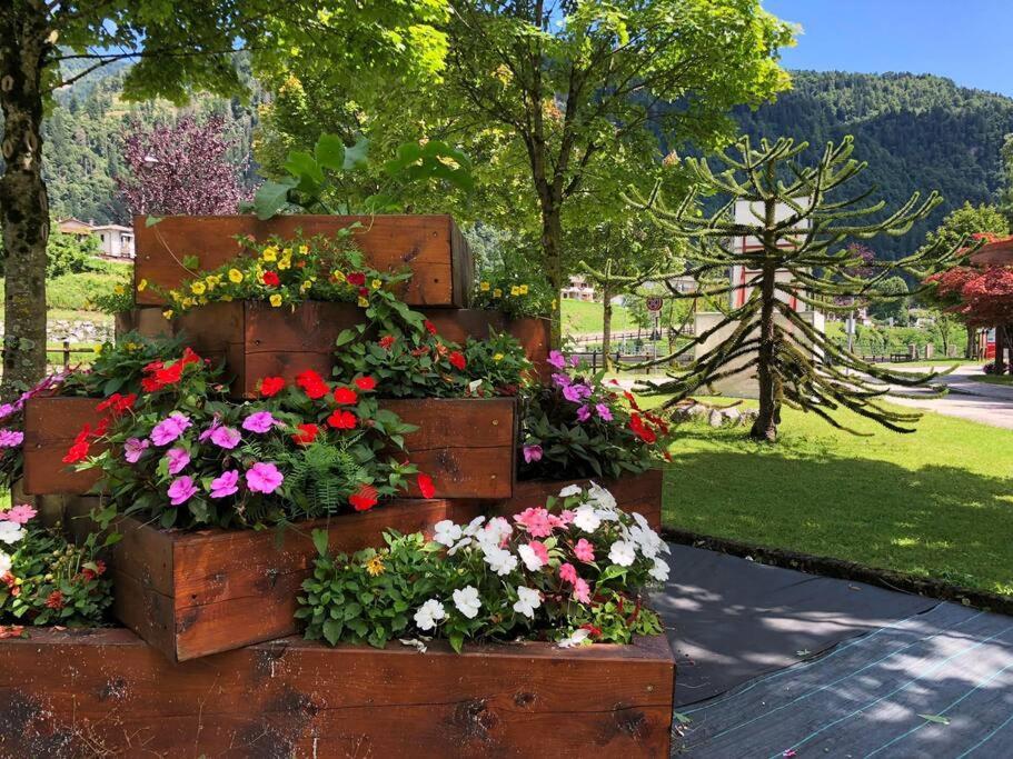 Holiday Guesthouse La Casina Di Butzi Pet Friendly - Terme Di Arta - Zoncolan Арта Терме Екстериор снимка