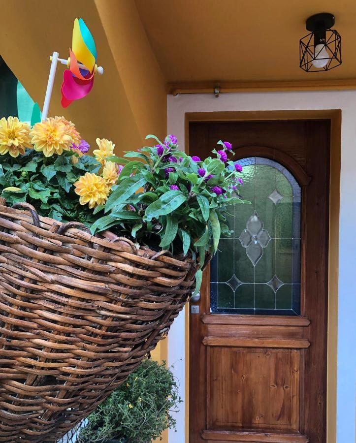 Holiday Guesthouse La Casina Di Butzi Pet Friendly - Terme Di Arta - Zoncolan Арта Терме Екстериор снимка