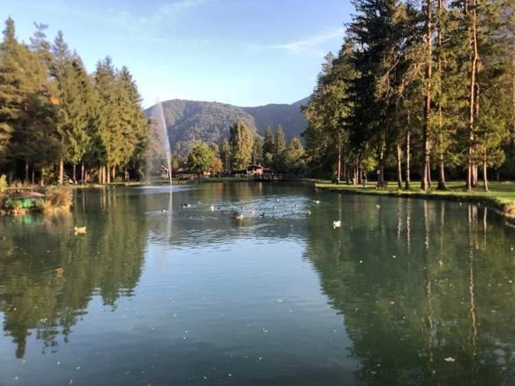 Holiday Guesthouse La Casina Di Butzi Pet Friendly - Terme Di Arta - Zoncolan Арта Терме Екстериор снимка